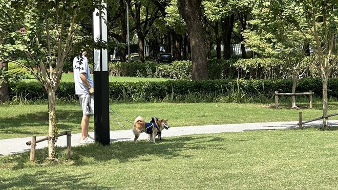 一周上海升级版游园带来哪些“乐与痛”?冰球突破事关搭帐篷、带宠物……新规施行(图2) 一周上海升级版游园带来哪些“乐与痛”?冰球突破事关搭帐篷、带宠物……新规施行(图2)