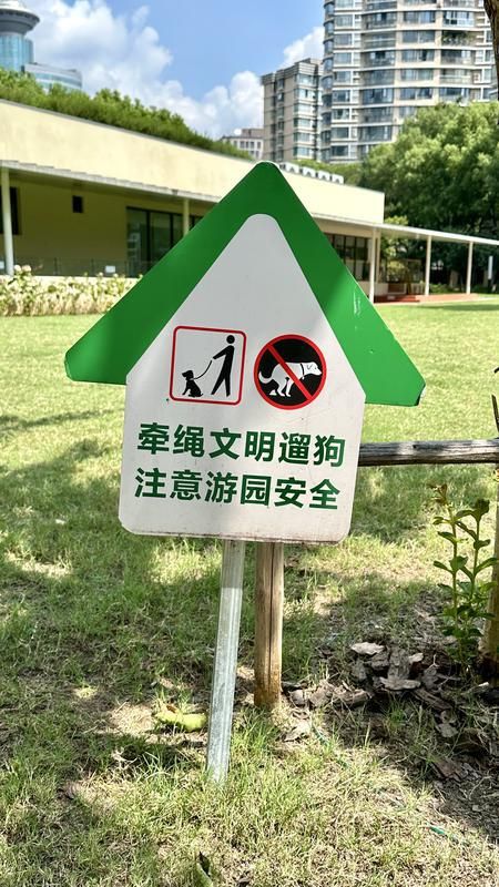 一周上海升级版游园带来哪些“乐与痛”?冰球突破事关搭帐篷、带宠物……新规施行(图5) 一周上海升级版游园带来哪些“乐与痛”?冰球突破事关搭帐篷、带宠物……新规施行(图5)