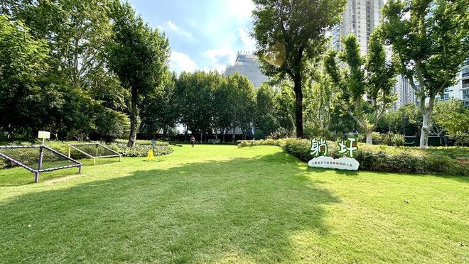 一周上海升级版游园带来哪些“乐与痛”?冰球突破事关搭帐篷、带宠物……新规施行(图7) 一周上海升级版游园带来哪些“乐与痛”?冰球突破事关搭帐篷、带宠物……新规施行(图7)