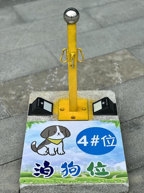 一周上海升级版游园带来哪些“乐与痛”?冰球突破事关搭帐篷、带宠物……新规施行(图8) 一周上海升级版游园带来哪些“乐与痛”?冰球突破事关搭帐篷、带宠物……新规施行(图8)